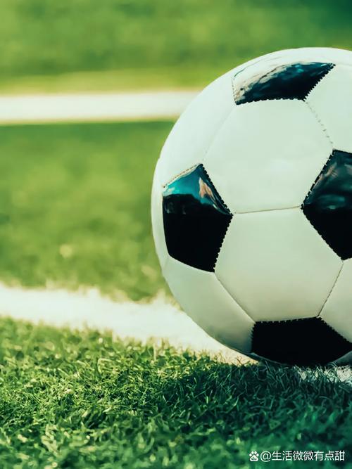 彩票店老板辅助工具