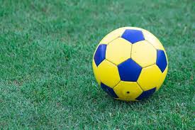 资深彩民批量查询工具