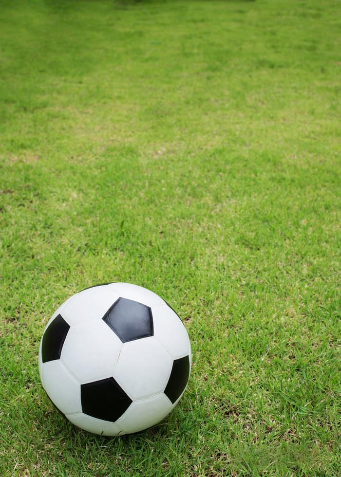 移动端用户随时随地查询